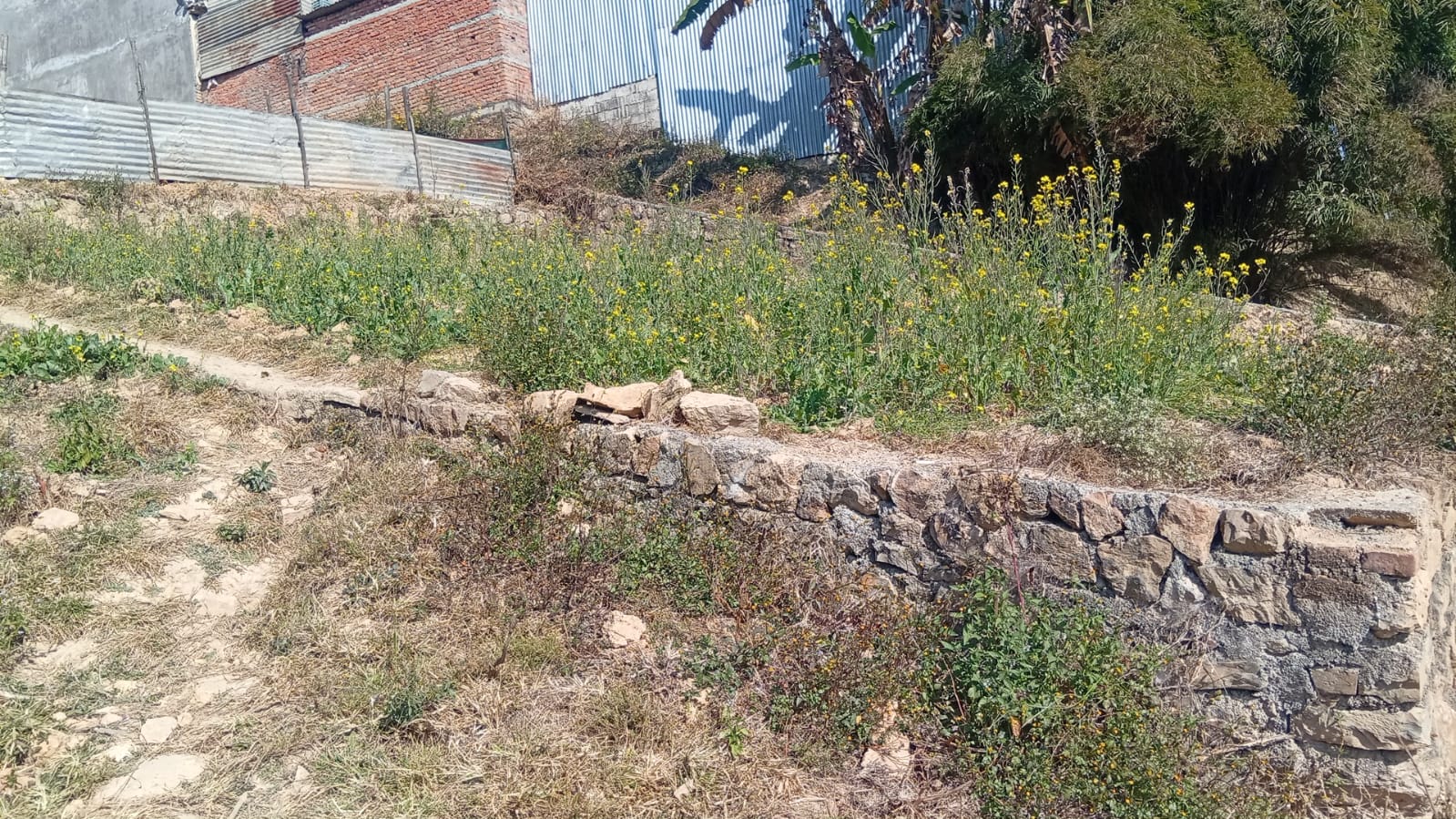 Land for Sale in Jharuwarasi – 3.5 Aana