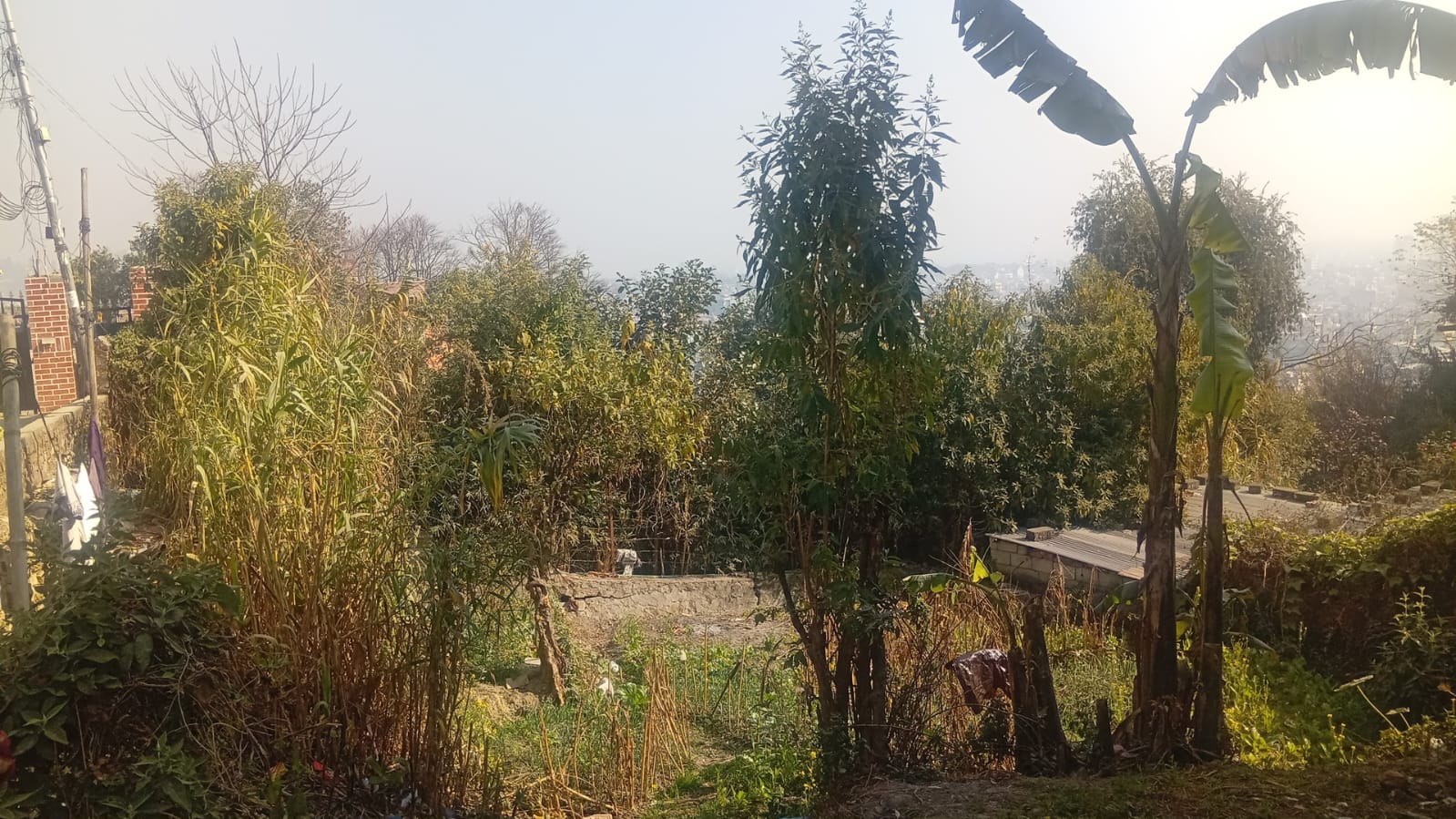 Land for Sale in Kalanki