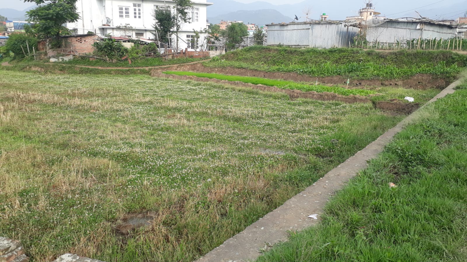 Land for Sale in Harisiddi 1 ropani 10 aana