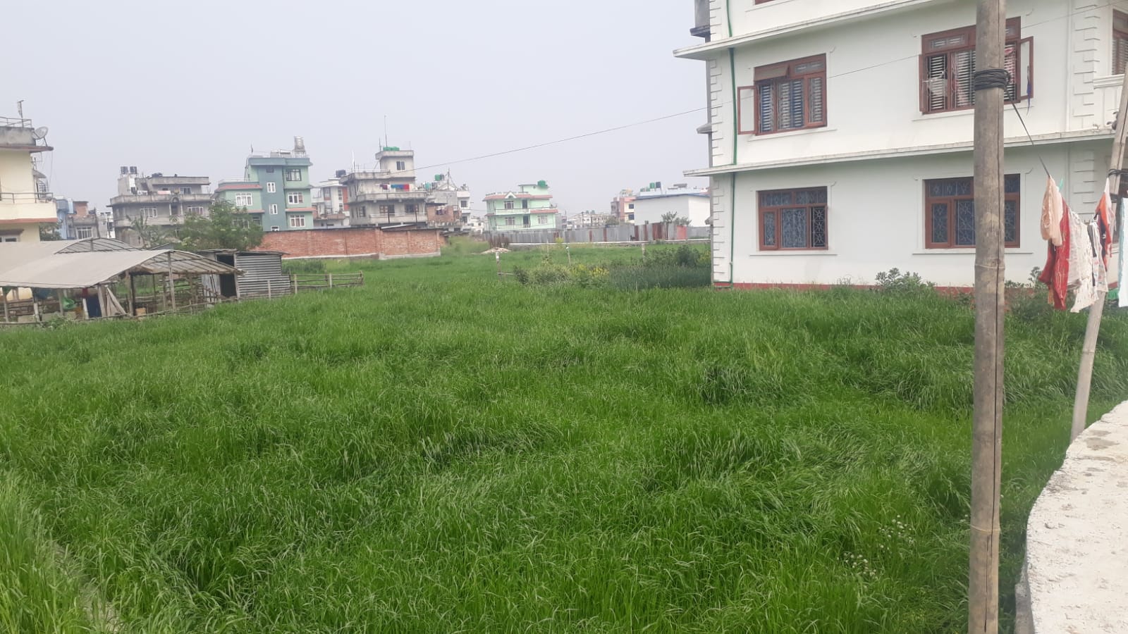 Residential Land for Sale in Harisiddhi