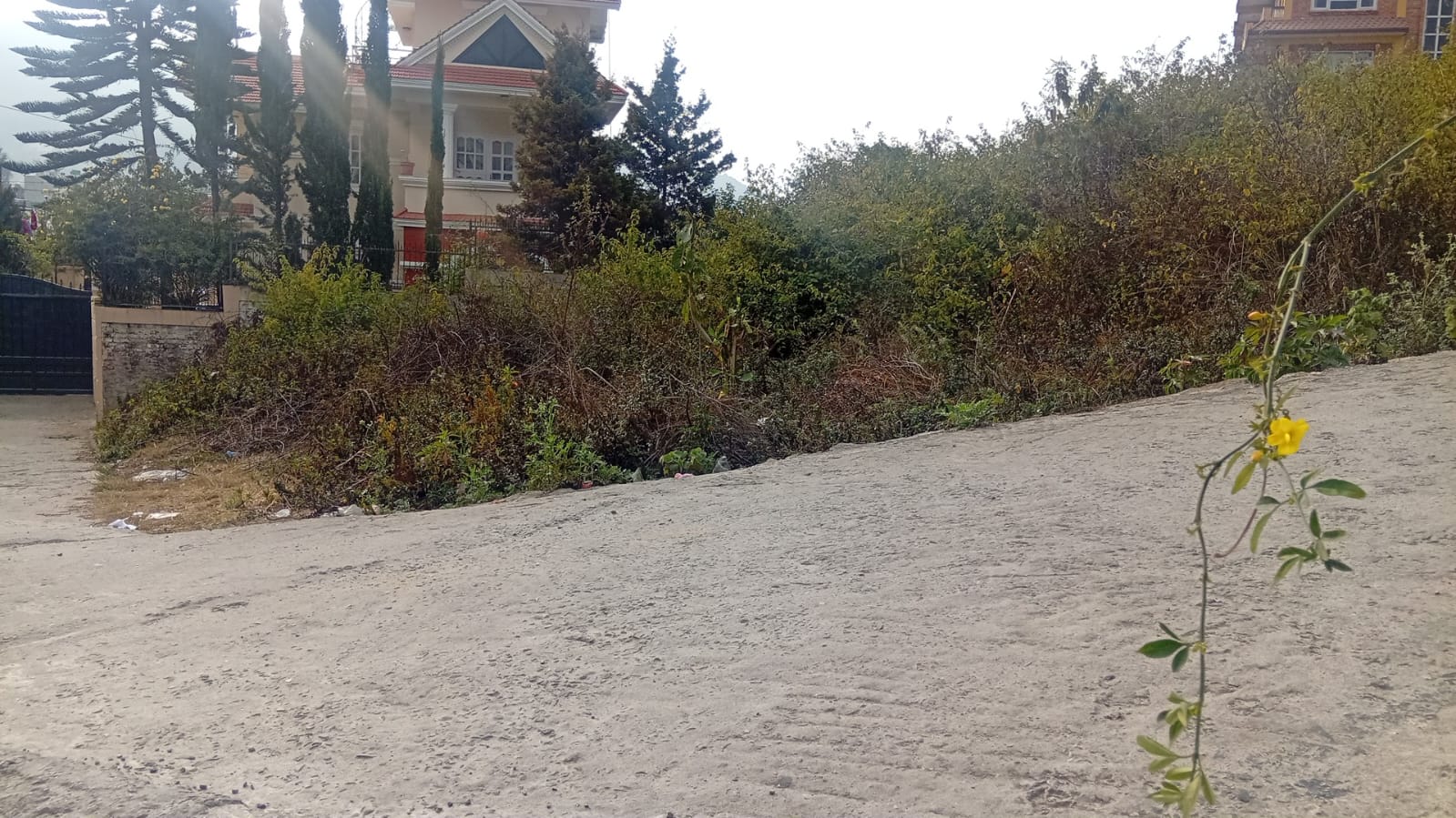 Land for Sale at Sitapaila, Nagarjun Colony