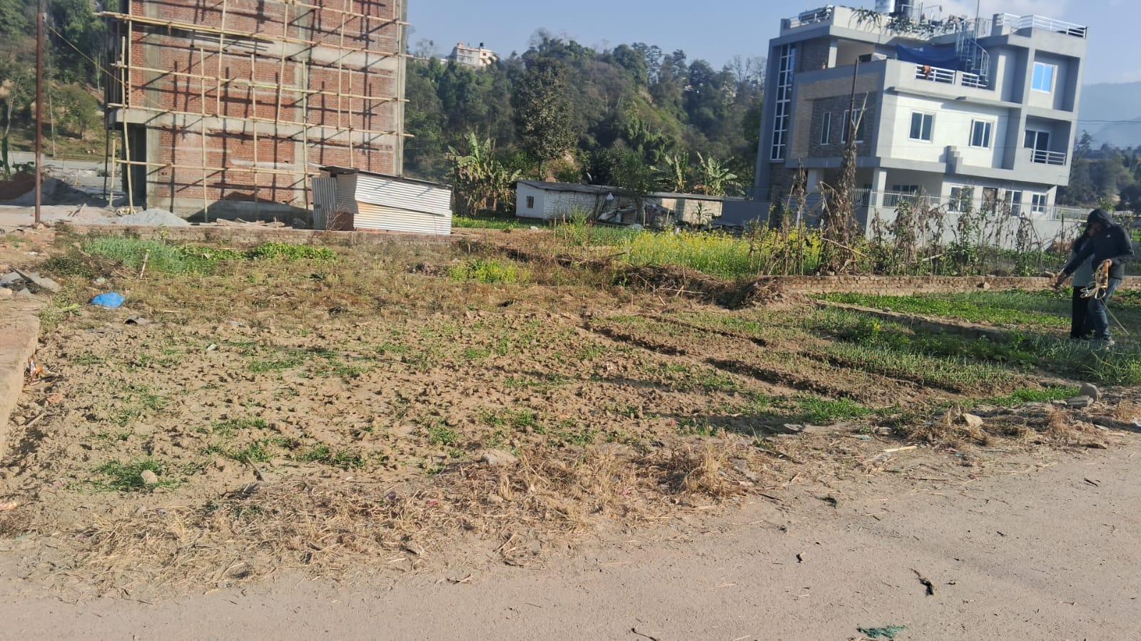 Land for Sale – Thaiba