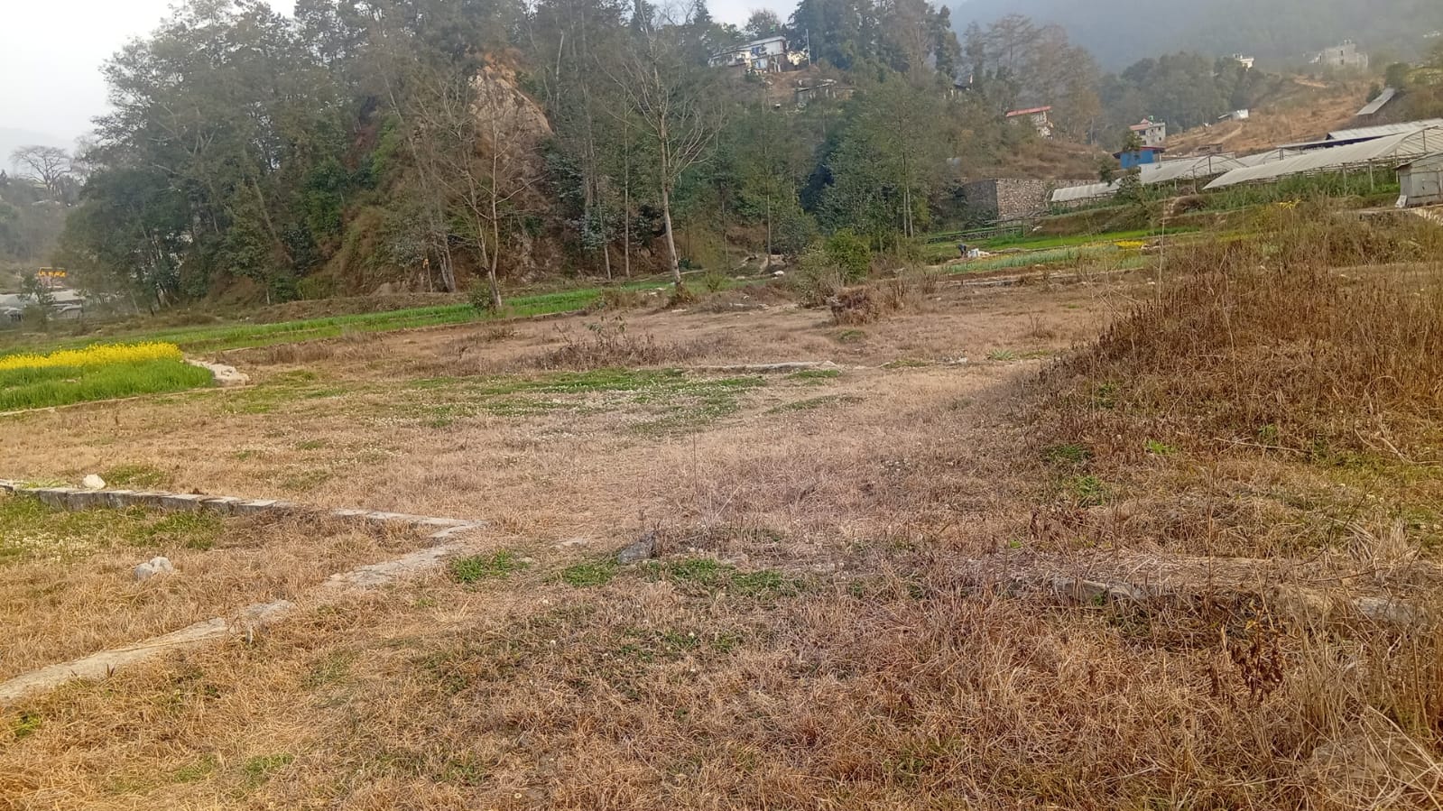 Land for Sale at Taukhel