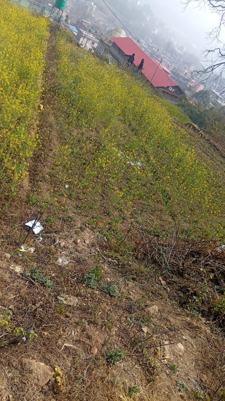 Land for Sale Taudaha, Kirtipur!