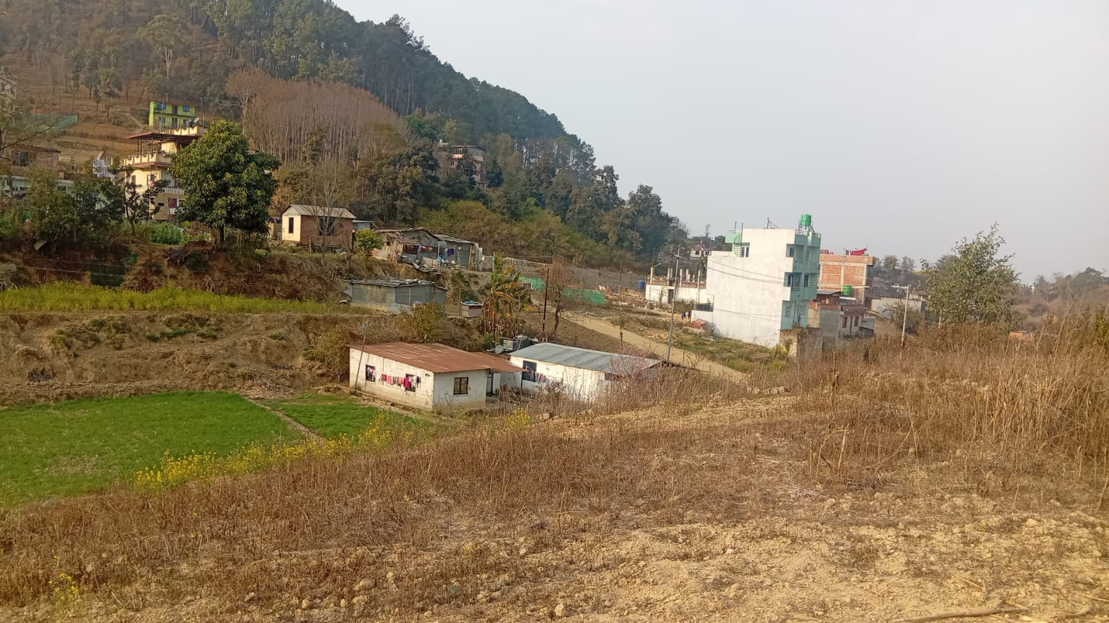 Land for Sale at Jharuwasi