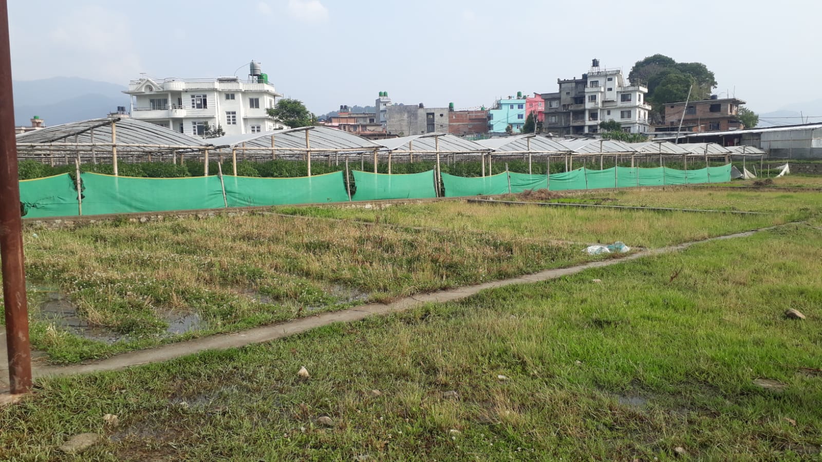 Land for Sale in Harisiddi 3aana 1 paisa