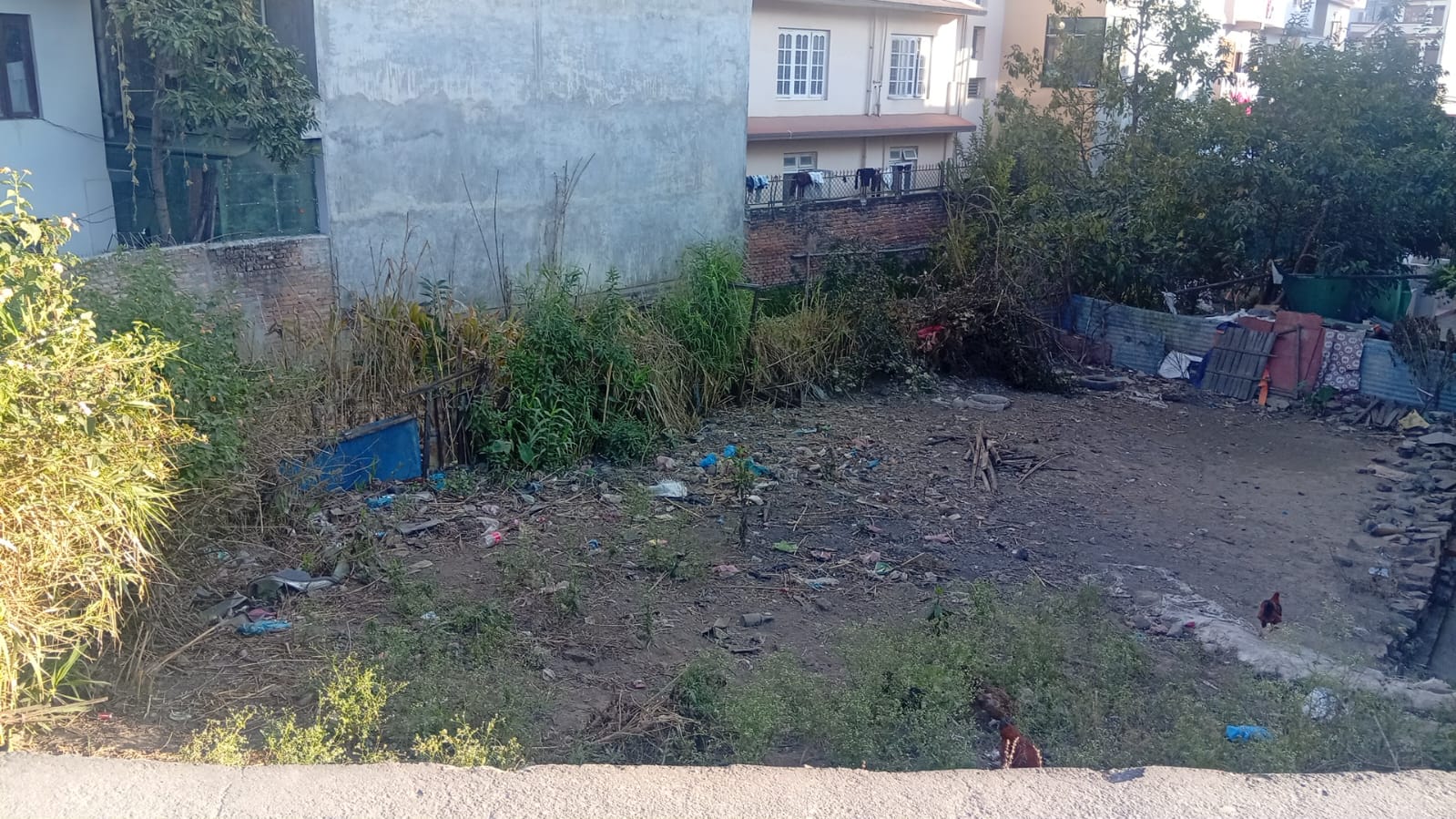 Land for Sale in Jadibuti, Koteshwor – 5 Aana