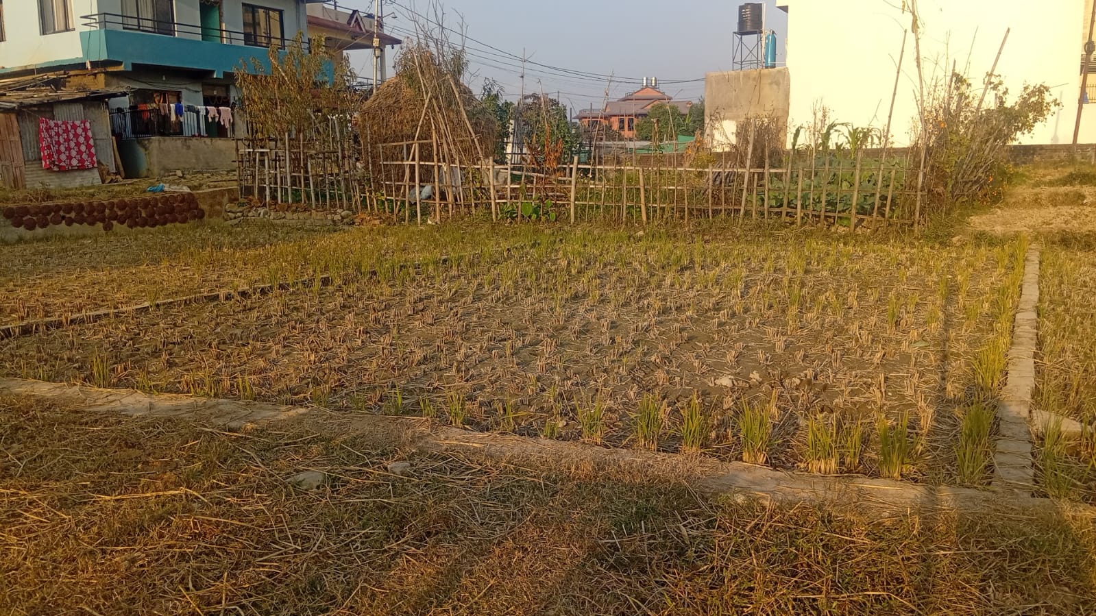 Land for Sale in Lubhu – 3 Aana 1 Dam (South -Facing)