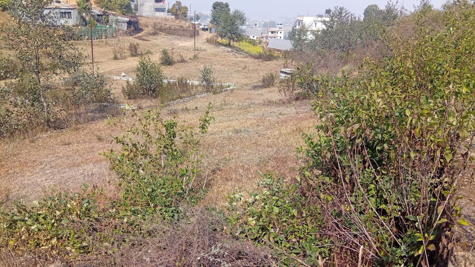 Plotting Land for Sale in Jharuwarasi
