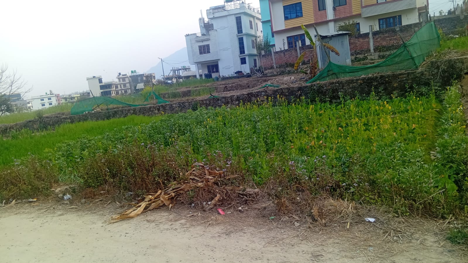 Land for Sale in Dahachowk (Srijana Area)