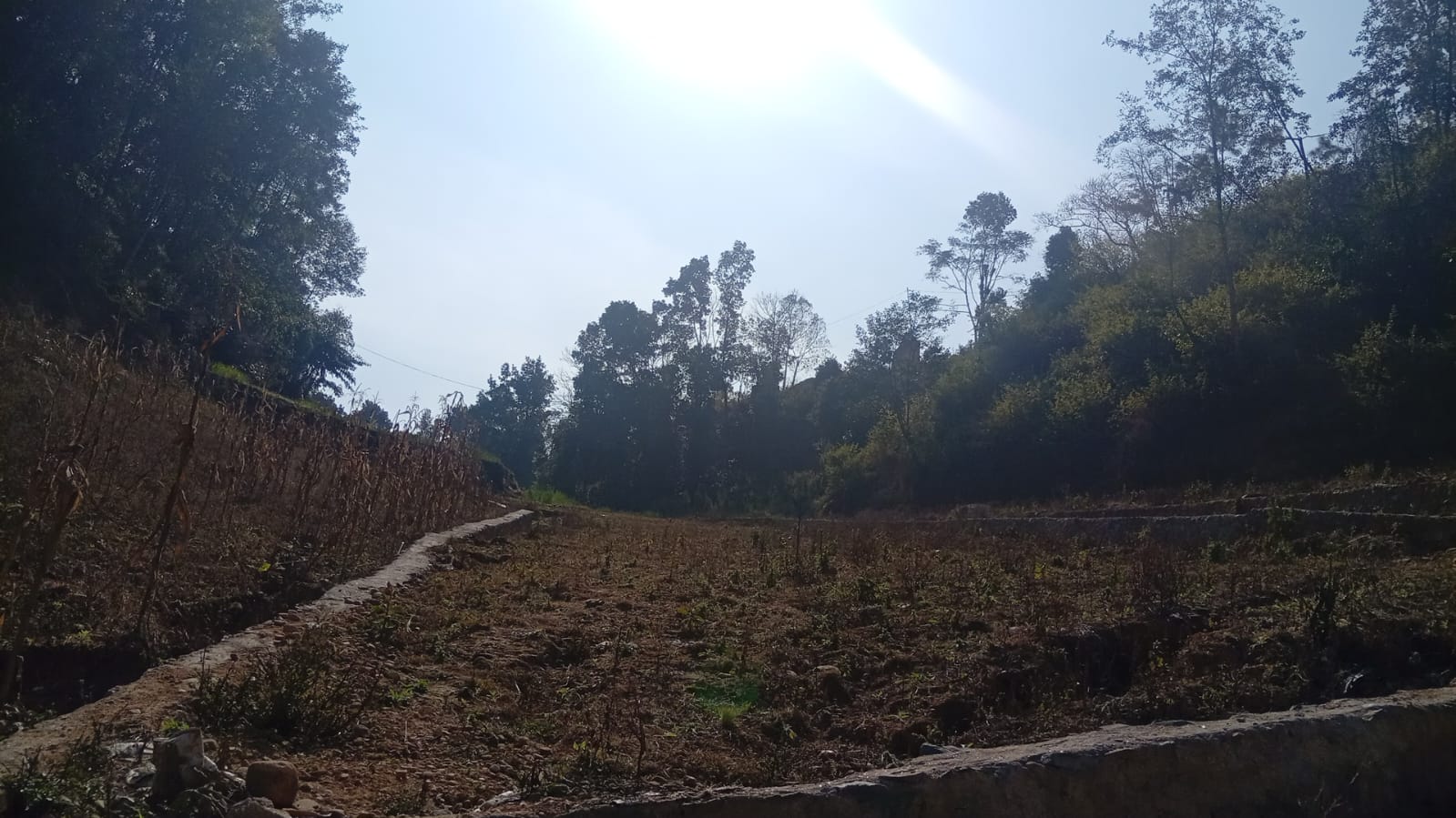 Land for Sale in Chhampi – Ideal for Plotting & Investment