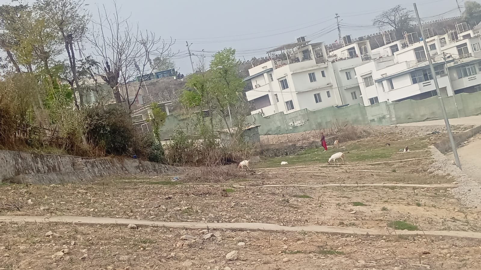 Plotting Land for Sale at Bhaisepati