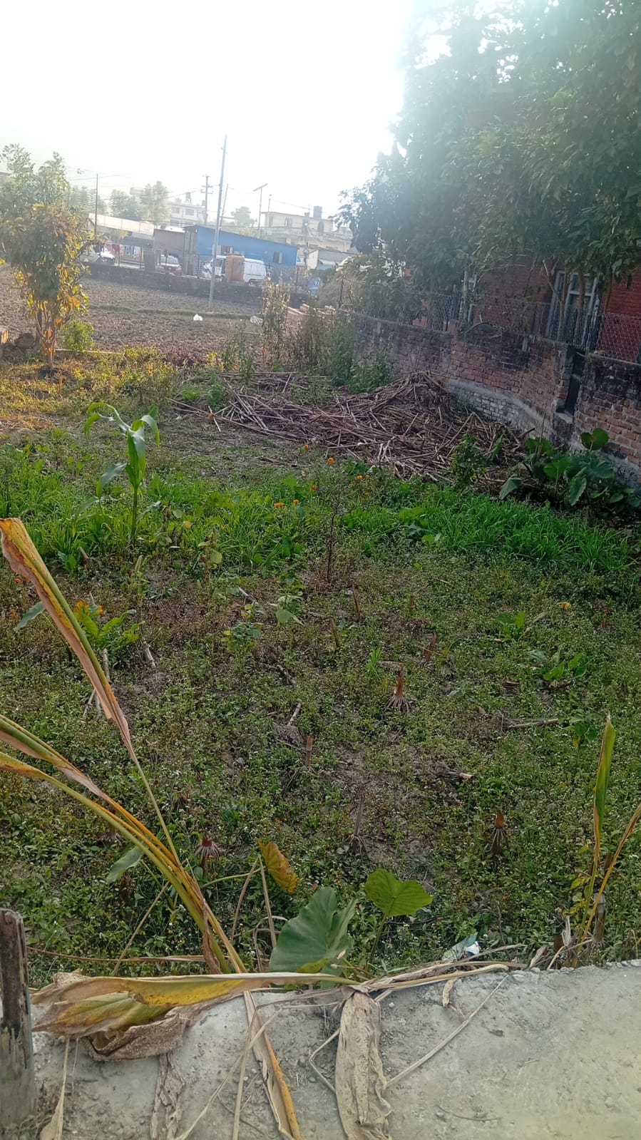 Land for Sale in Lubhu – 4 Aana (North-Facing)