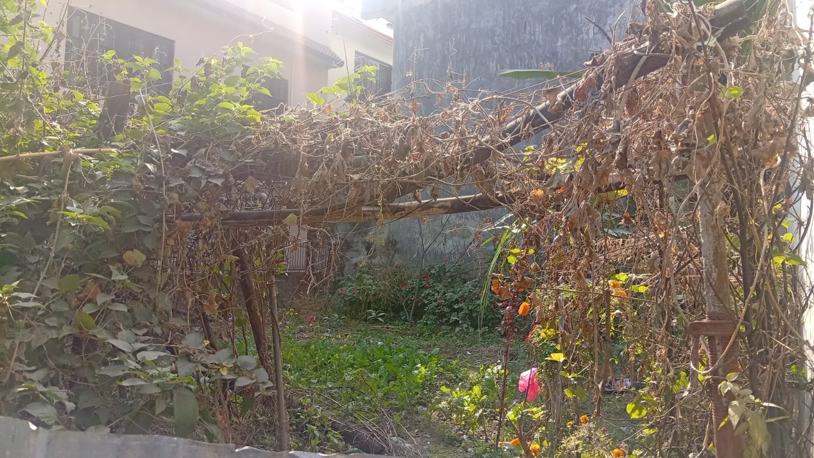 Land for Sale  Kalanki – Near Pati Chowk