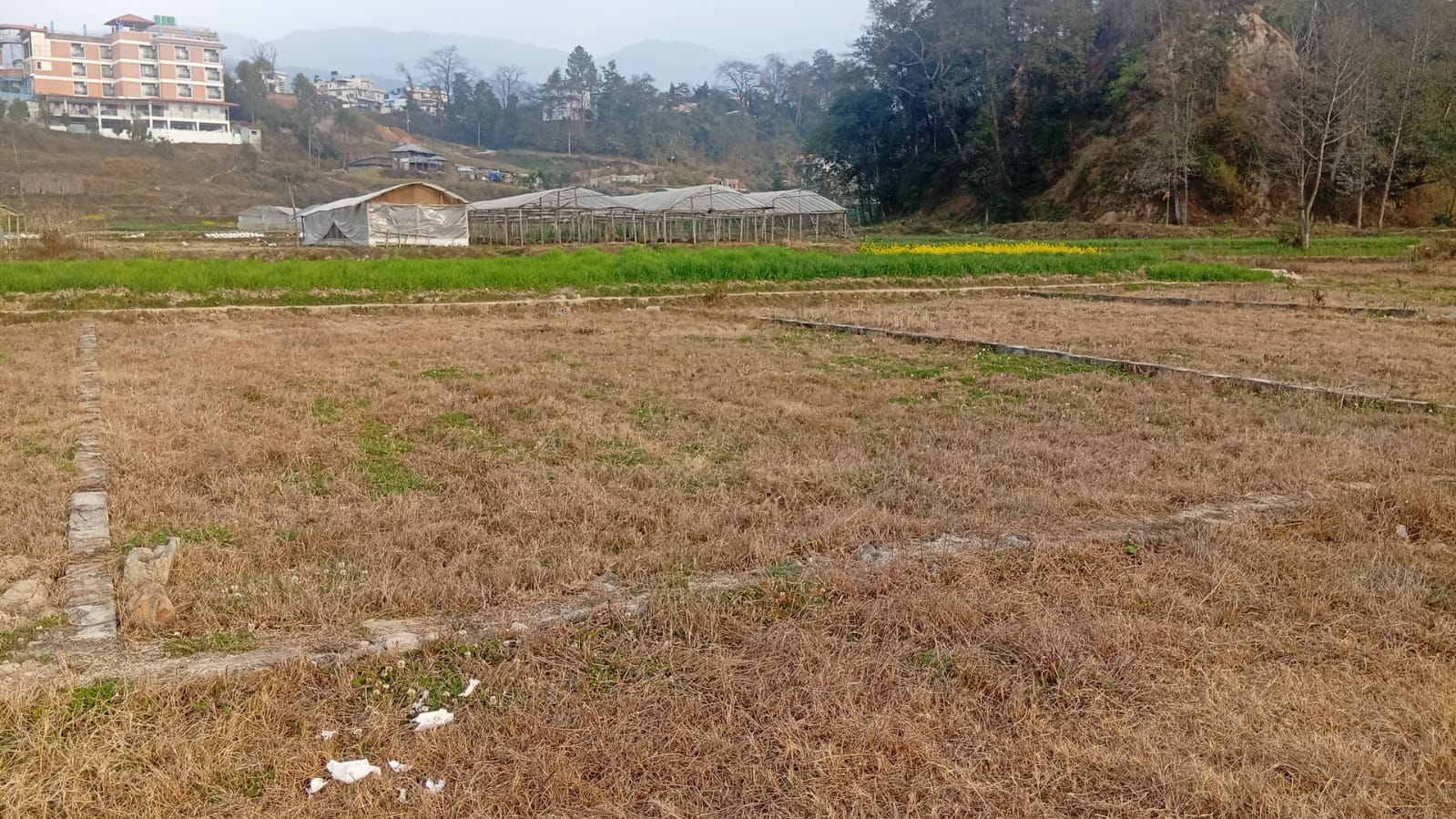 Land for Sale at Taukhel