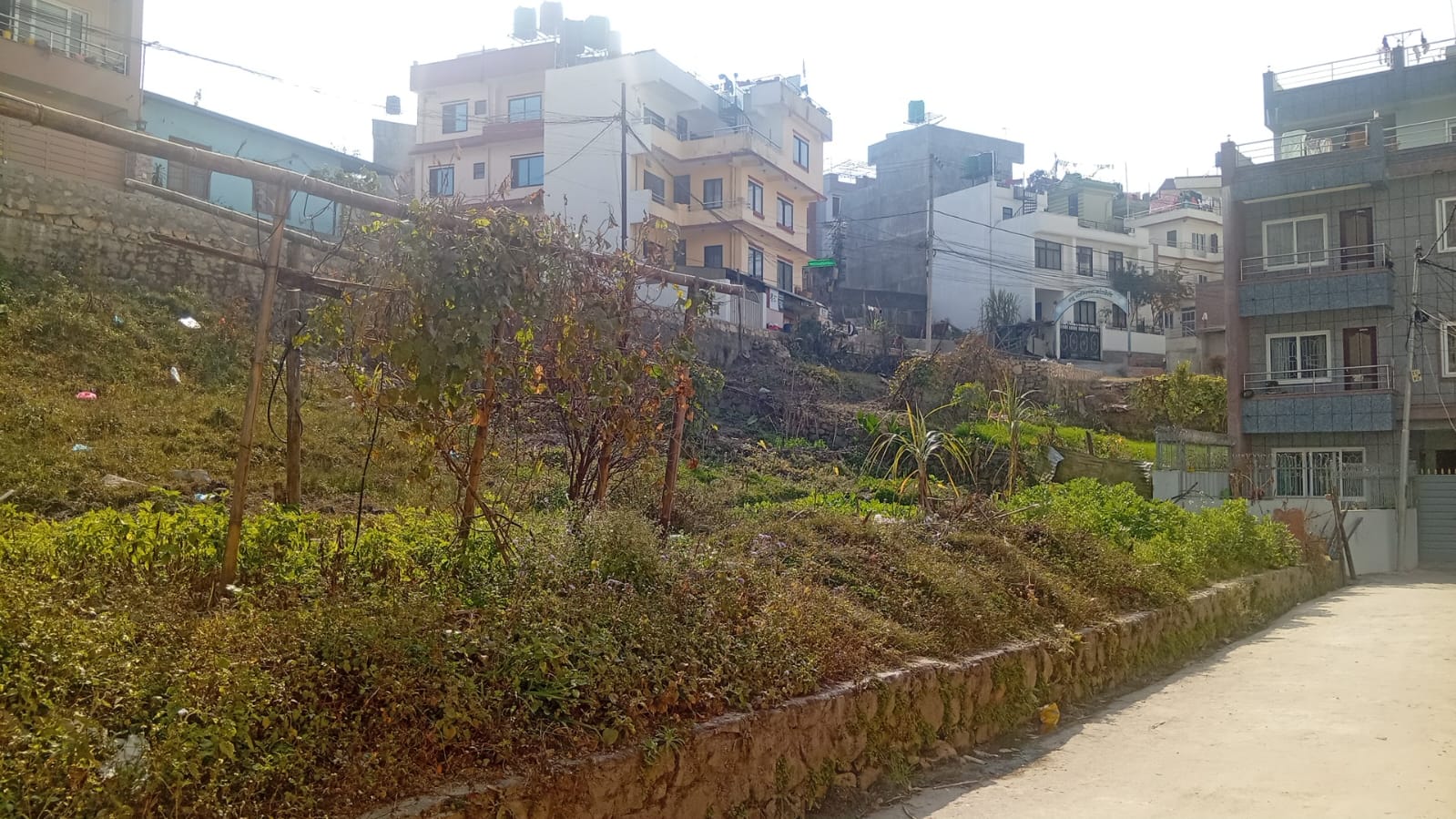 Land for Sale Pasikot, Near Shiva Mandir