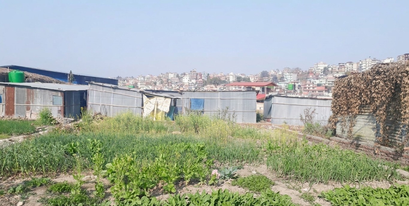 Land for Sale in Bhaisepati