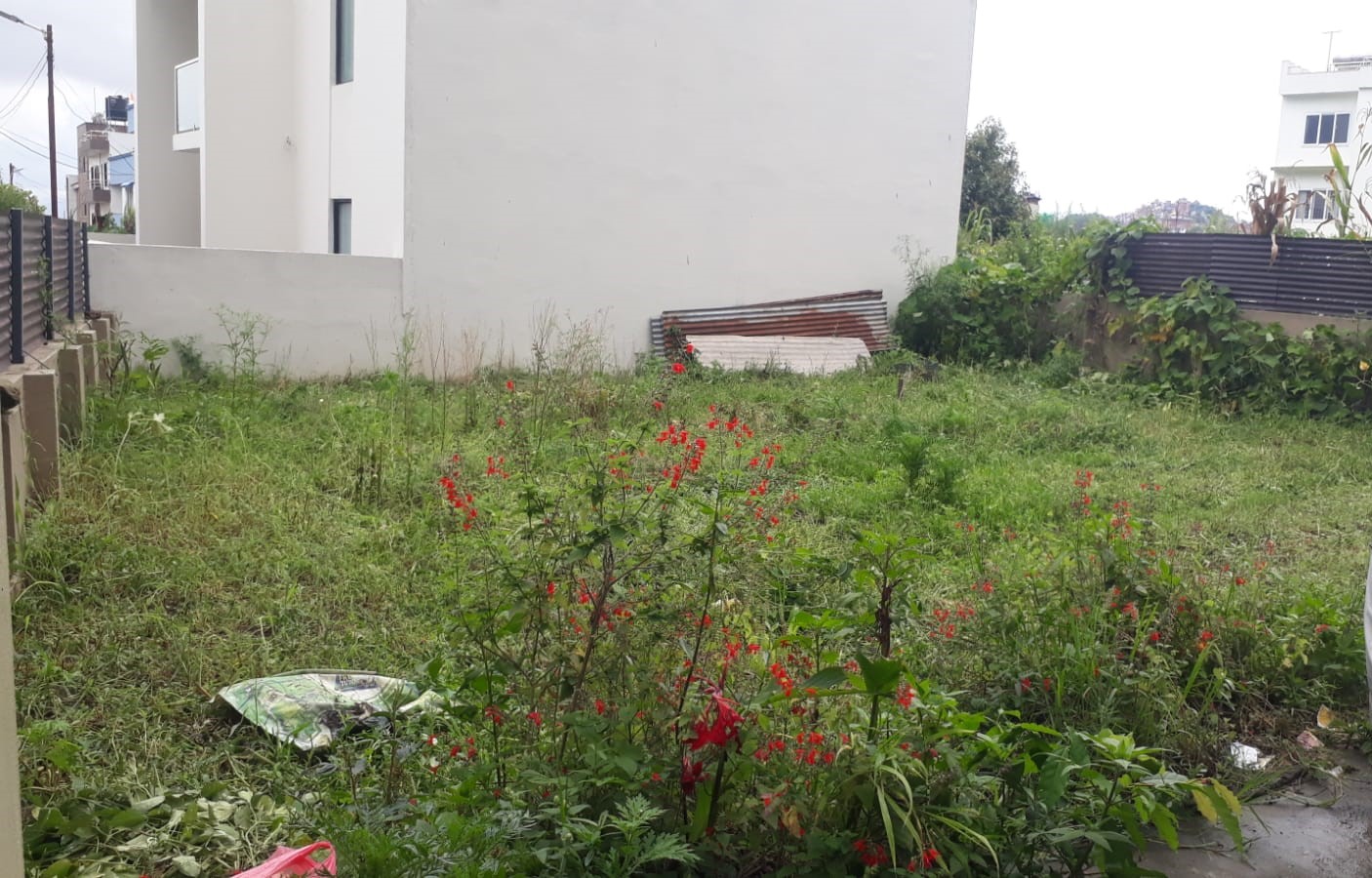 Land for Sale in Purano Naikap