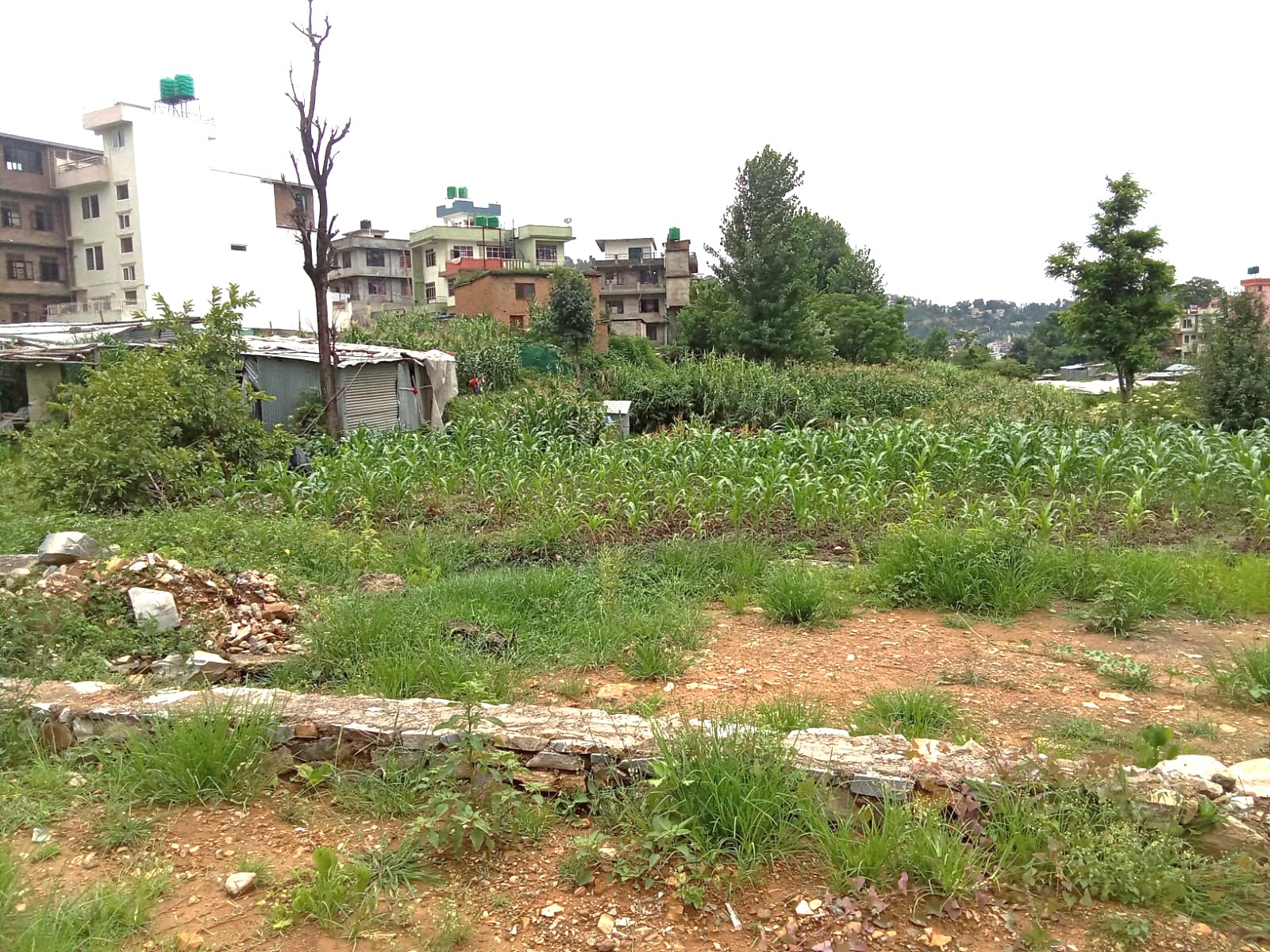 Land for Sale in Gurjudhara