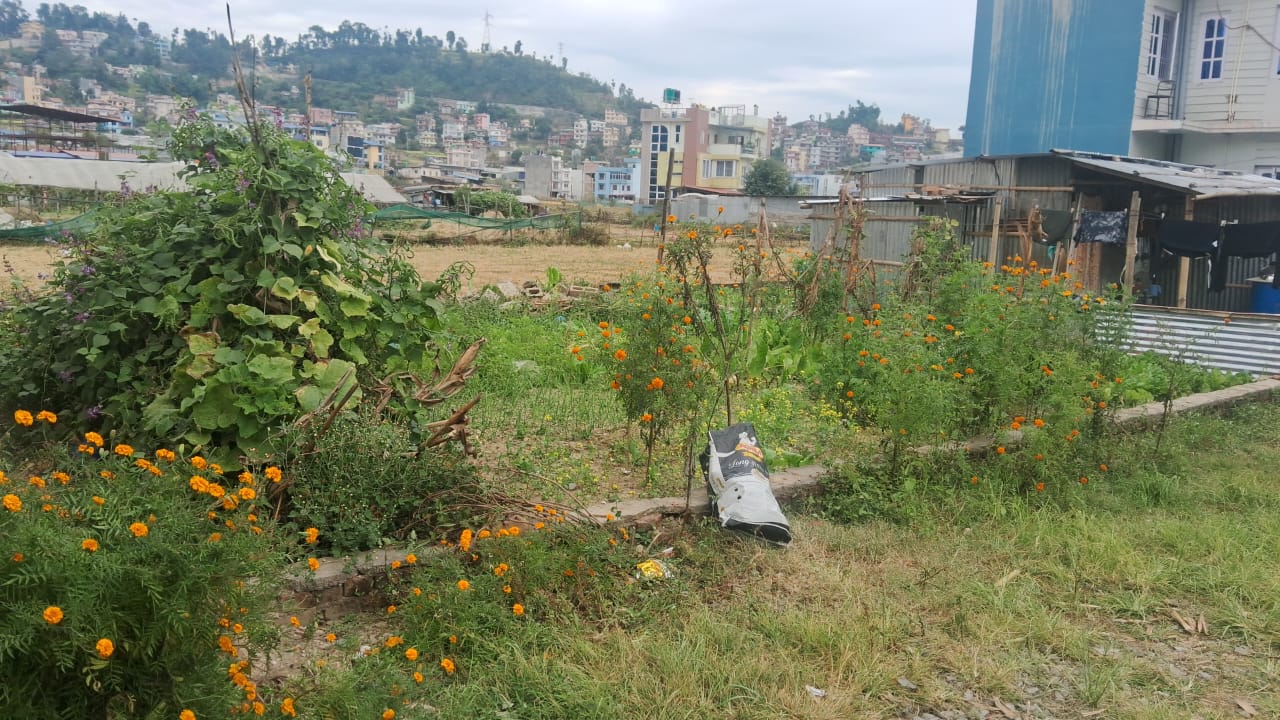 Land for Sale in Naikap