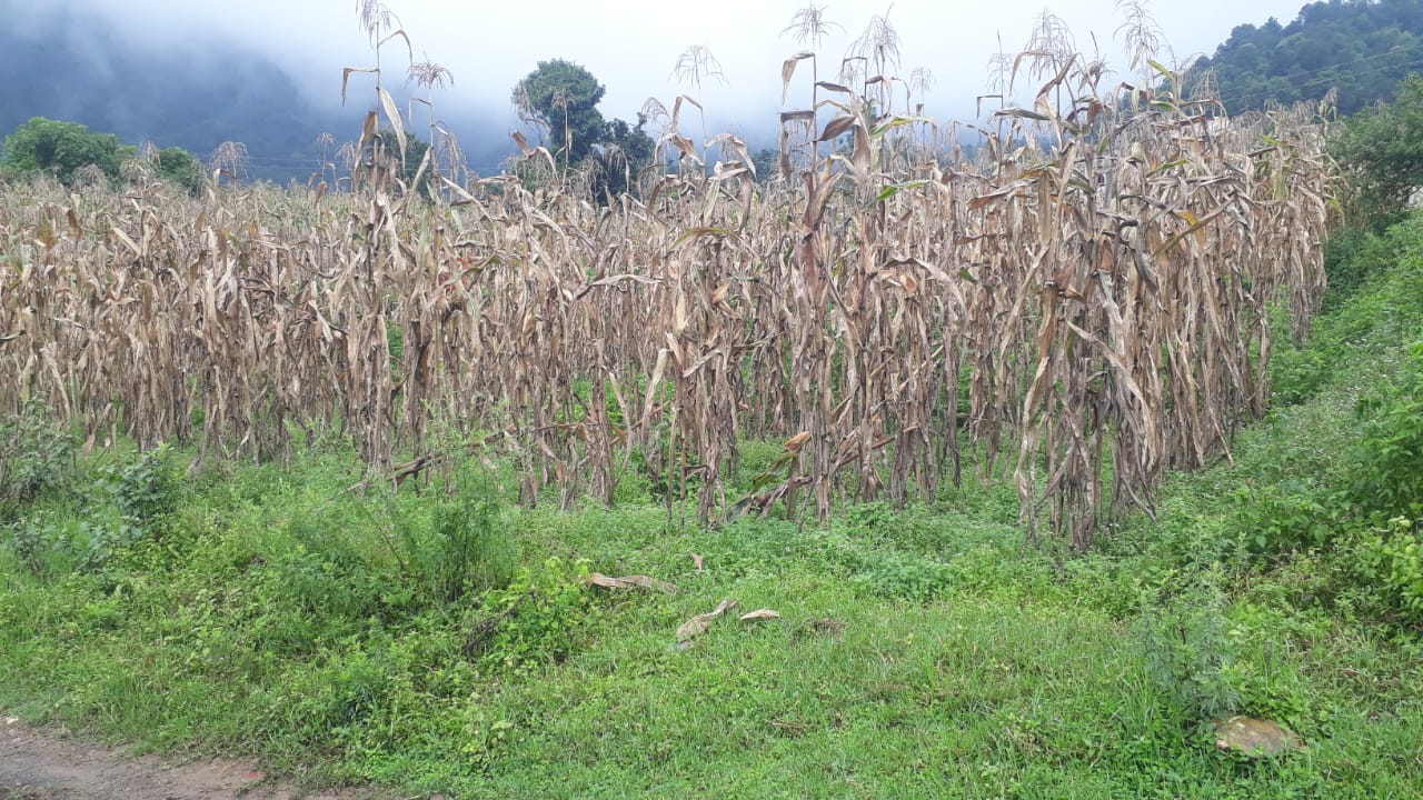 Prime Land for Sale at Dhakshi Dhara