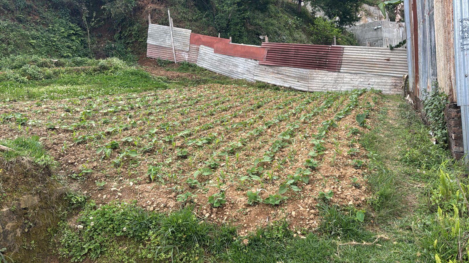 Land for Sale at Thankot