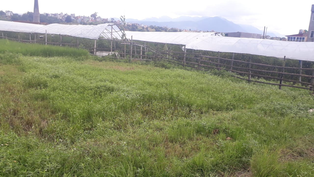 Land for Sale in Harisiddhi, Lalitpur