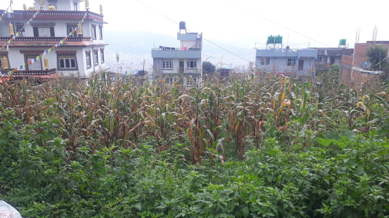 Land for Sale at Dhakshi Dhara