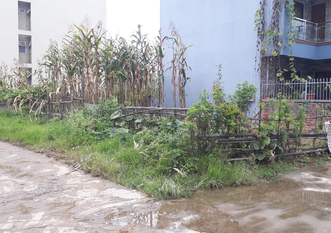 Land for Sale at High Vision Colony, Gurjudhara