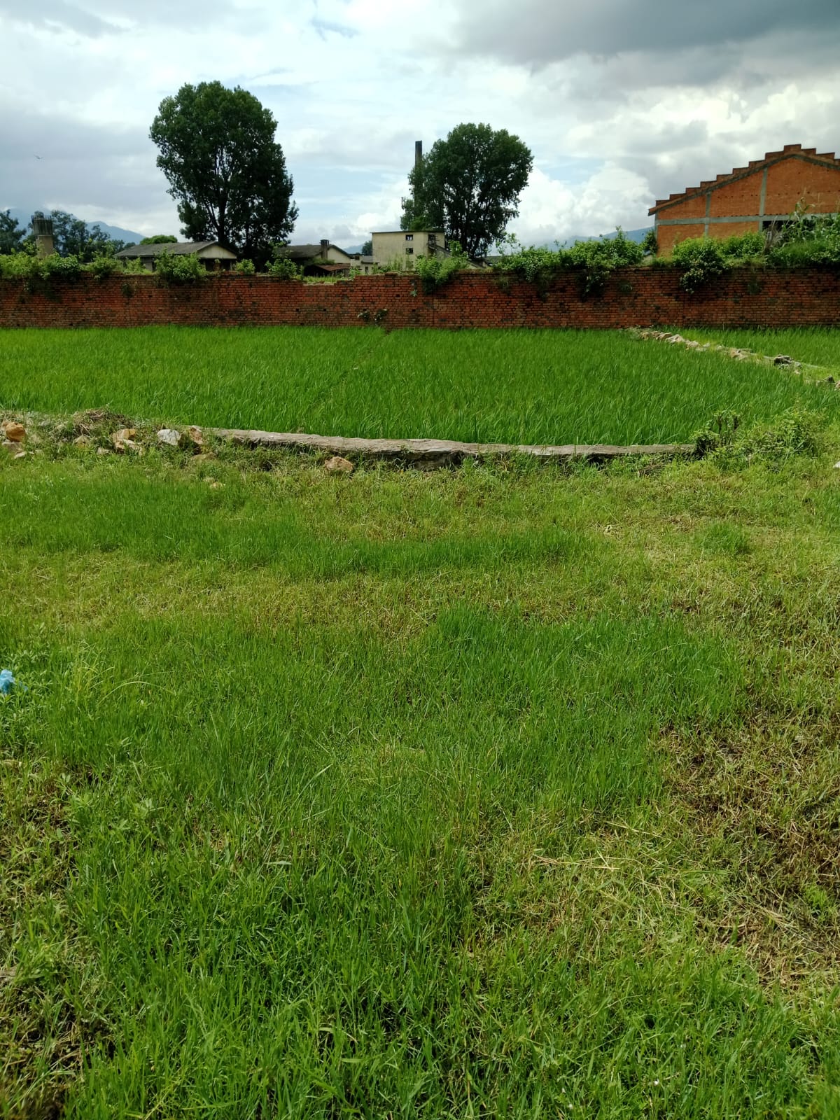 Land for Sale in Harisiddhi