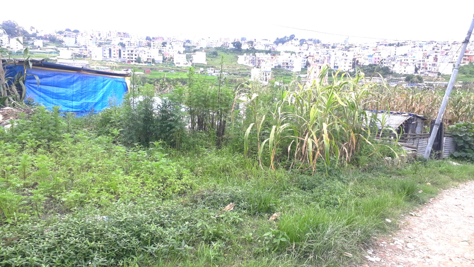 Land for Sale in Kantipur Colony, Nakhipot