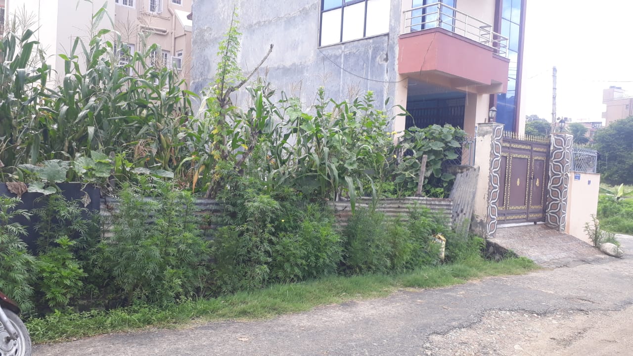 Land for Sale in Kantipur Colony, Nakhipot