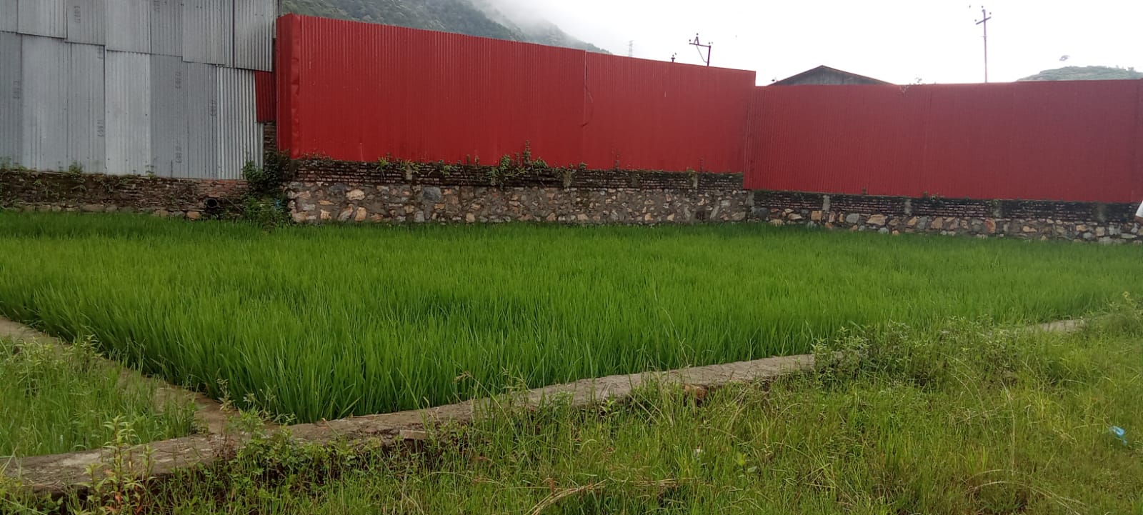 Land for Sale in Thankot