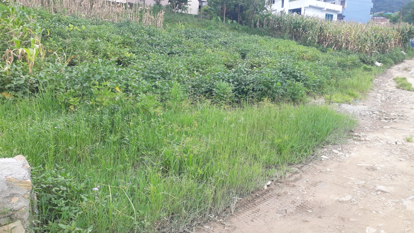 Land for Sale at Lubhu Arubot, Lalitpur