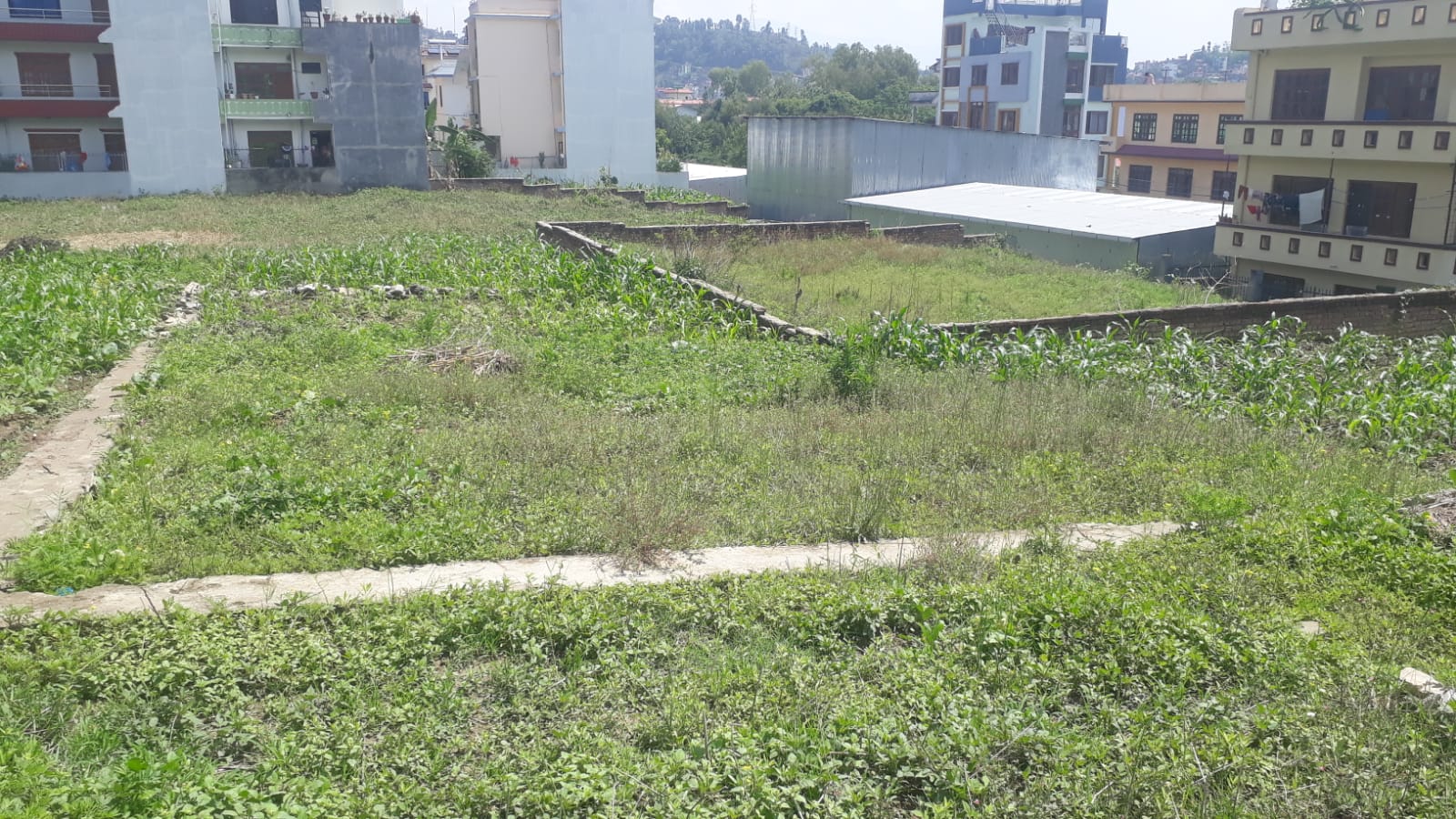 Residential Land for Sale in Hariyali Awas Satungal