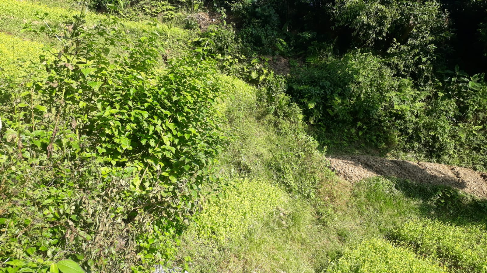 Land for Sale in Dahachok