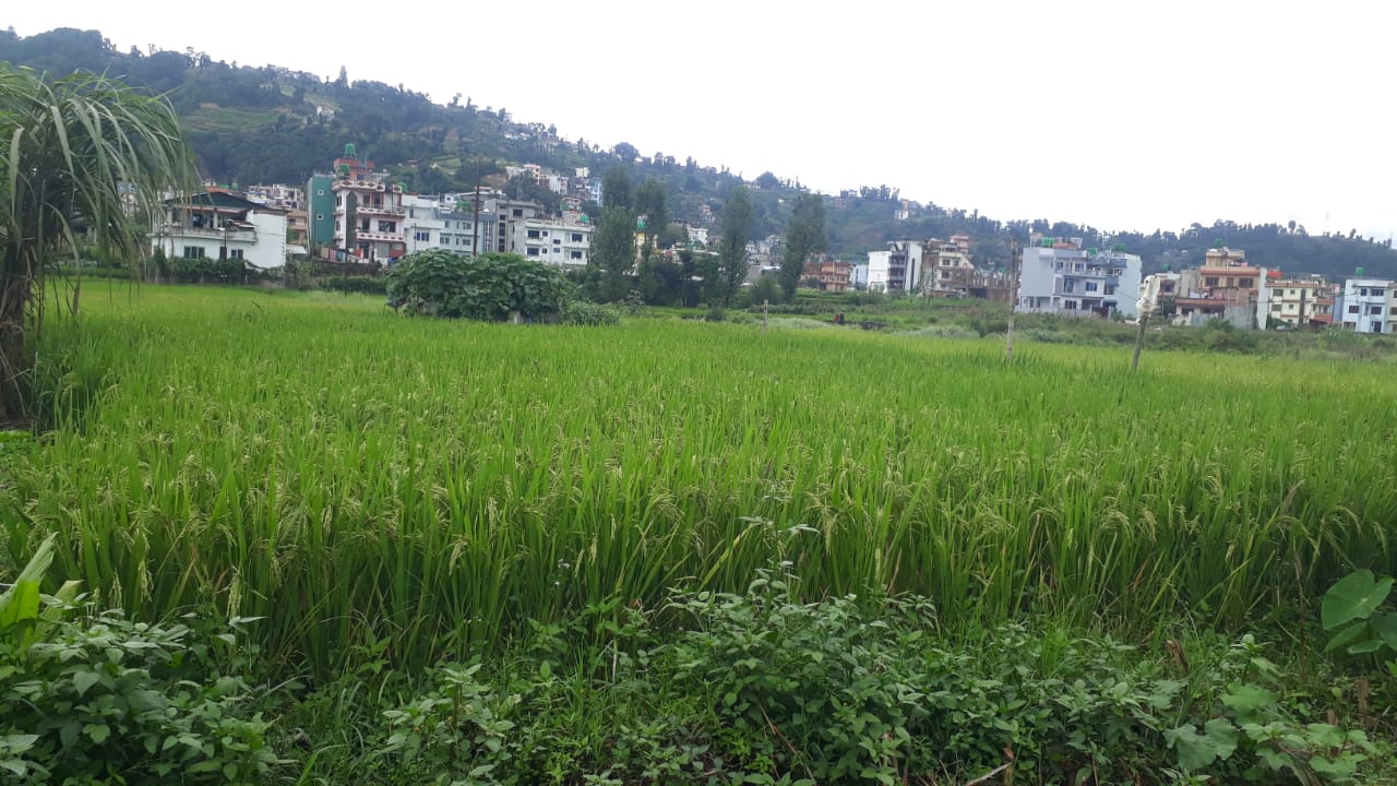 Land for Sale in Gurjudhara Balambu