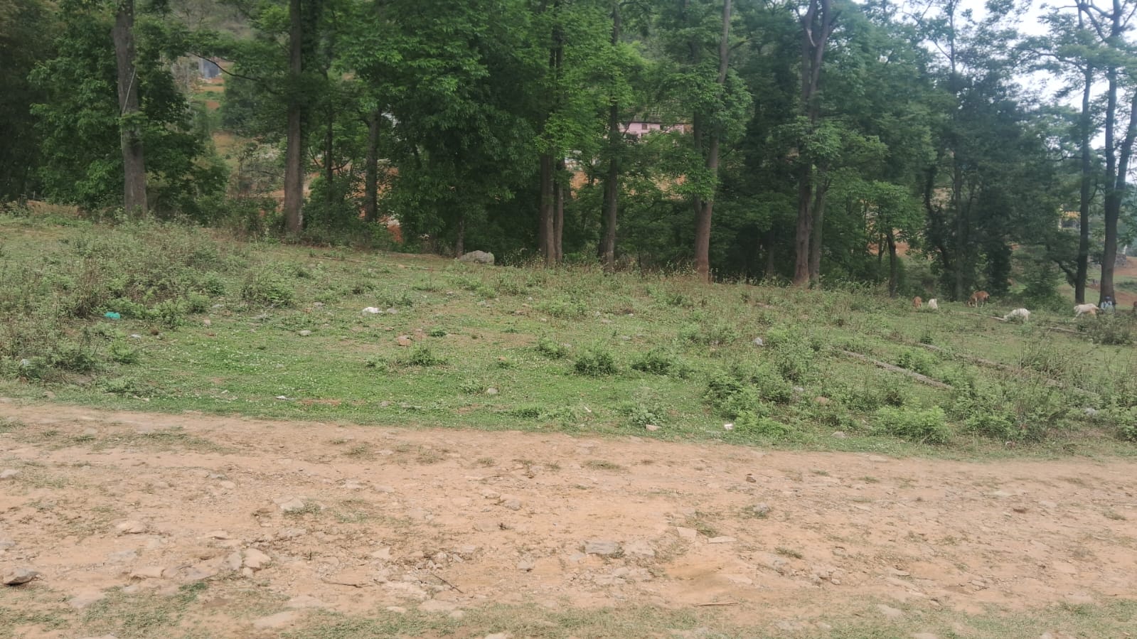 Land for Sale in Machchhegaun