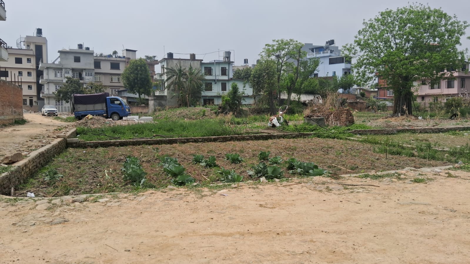 Land for Sale in Bafal