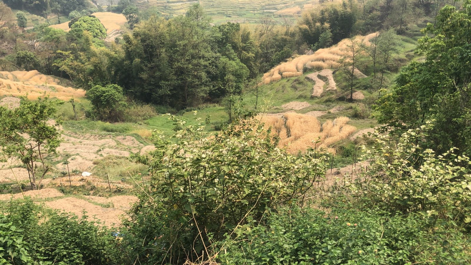 and for Sale in Nagarkot – Near Kharipati Ayurvedic Hospital