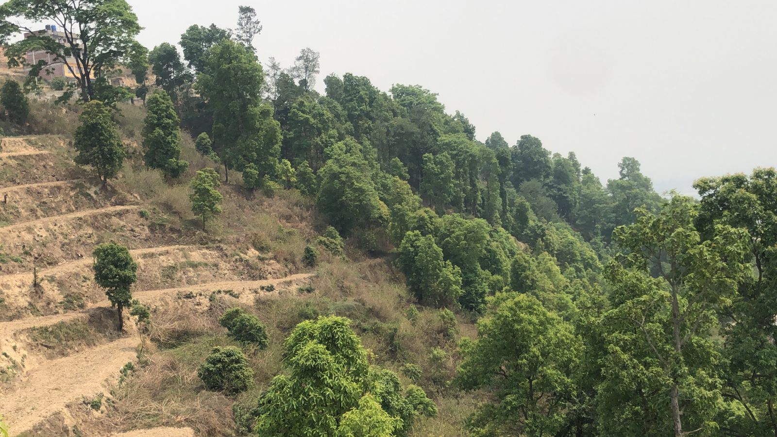 Land for Sale in Changunarayan