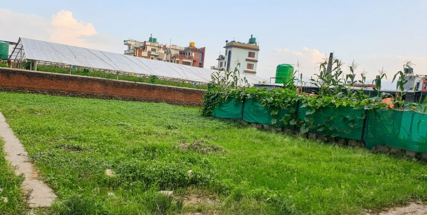 Land for Sale in Harisiddhi 4 aana