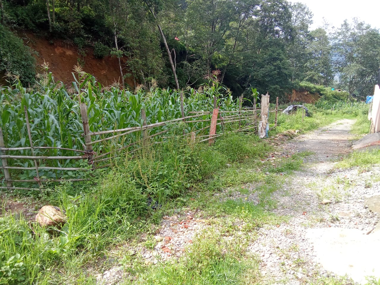 Land for Sale in Thankot