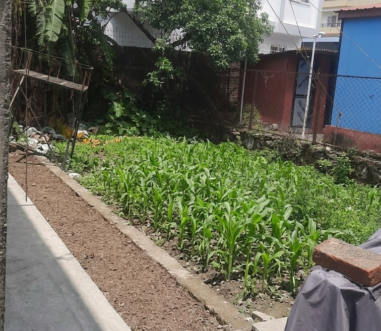 Land for Sale in Chapali, Budhanilkantha