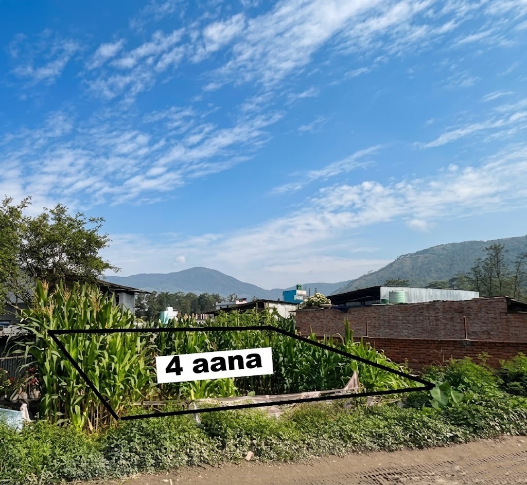 Land For Sale in Budhanilkantha , Pasikot