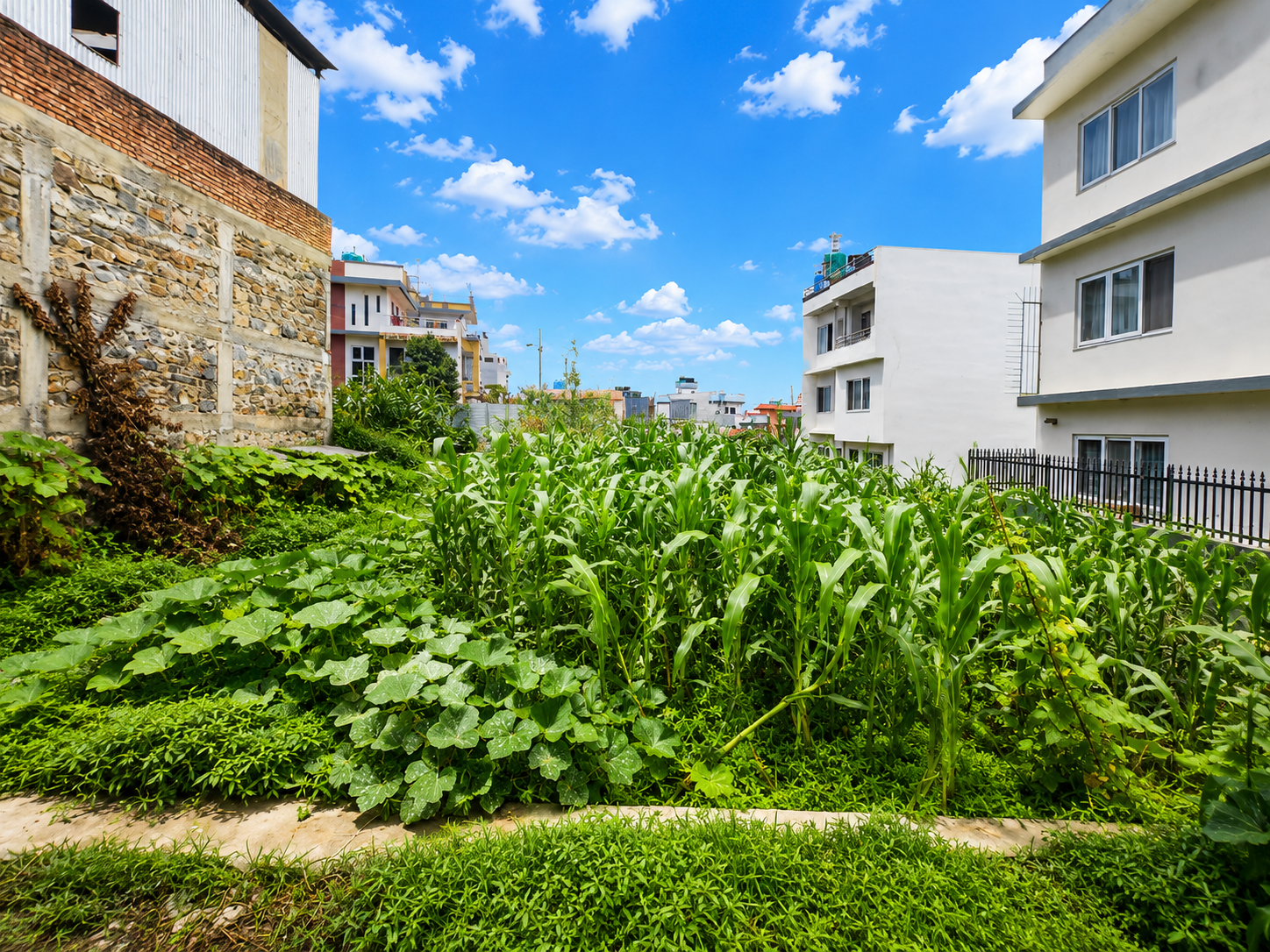 Land for Sale in Khumaltar , Lalitpur