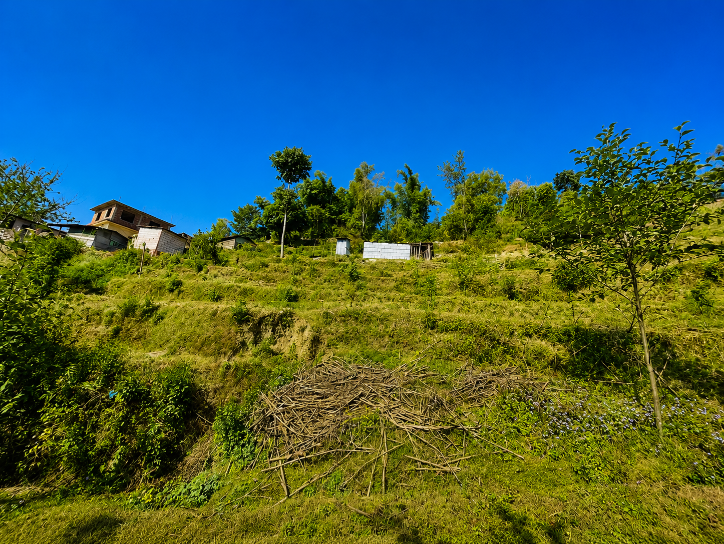 Land for Sale in Tokha Jhor Mahankal