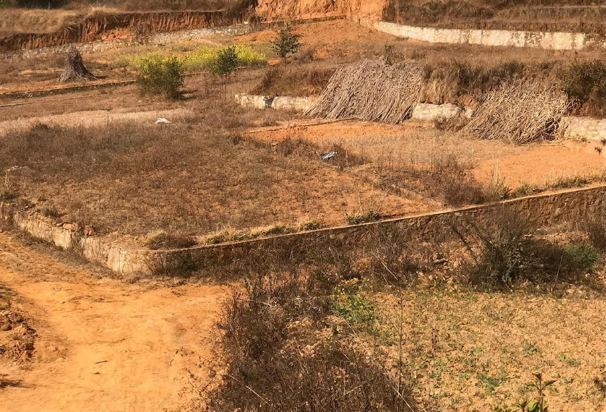 Land for Sale in Lele, Lalitpur