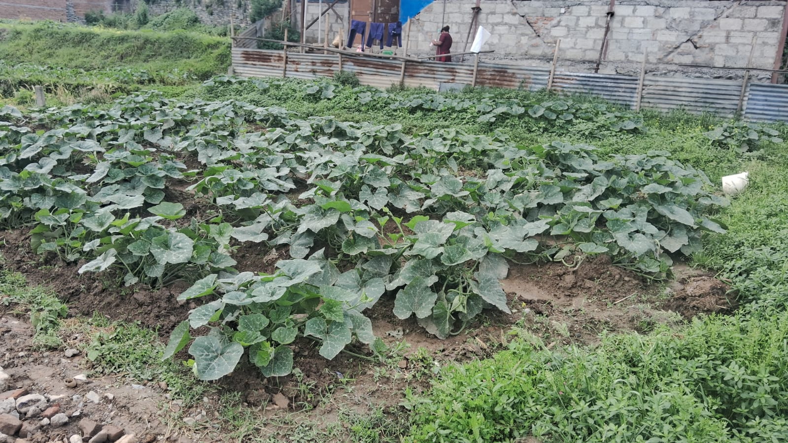 Land for Sale in Kirtipur, Kathmandu