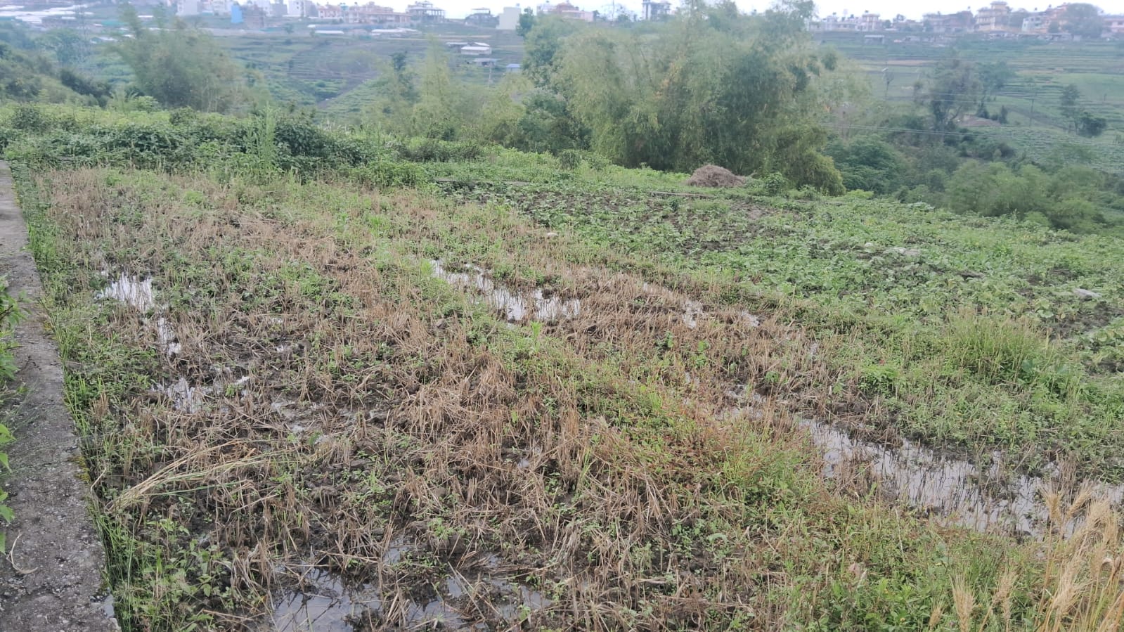 Land for Sale in Kirtipur, Kathmandu
